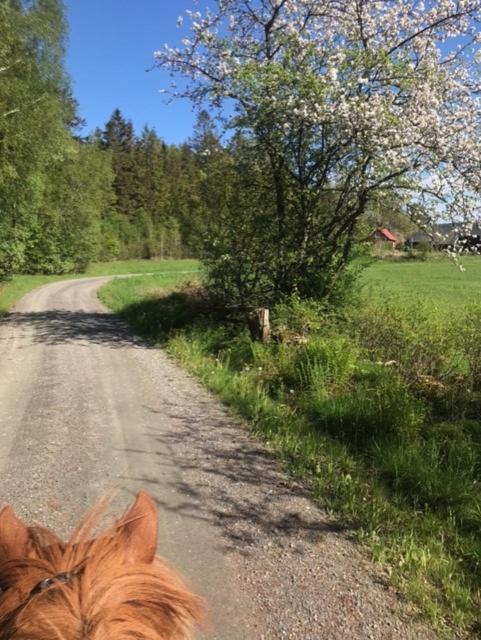Stenlid - Med Naturen Och Lugnet I Fokus